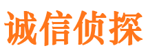 陆丰市调查公司